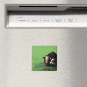 ウシスパ マグネット (インサイチュ (食洗機))