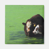 ウシスパ マグネット (正面)