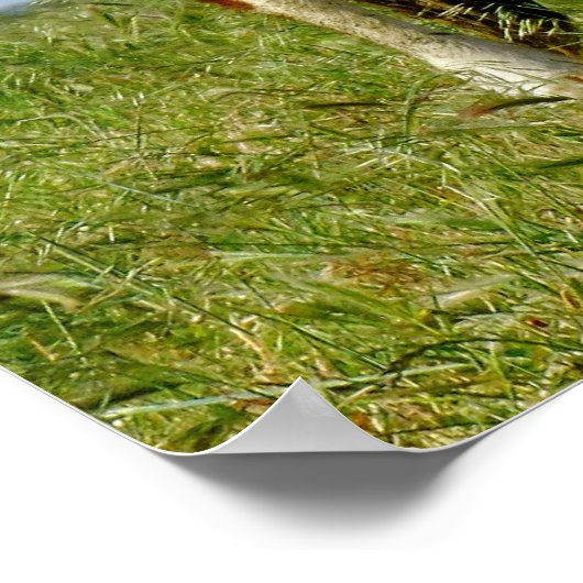 ウシ美しい。 ポスター (角)