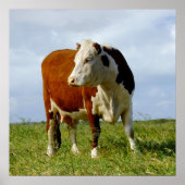 ウシ美しい。 ポスター (正面)