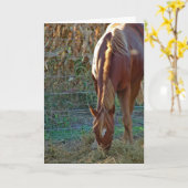 ウスインサンセット誕生日 カード (黄色い花)