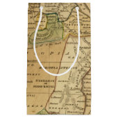 ウスター著アフリカの地図 スモールペーパーバッグ (正面)