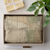 ウスター著アフリカの地図 薄葉紙 (ギフト)