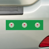 ウスター、マサチューセッツ、米国 バンパーステッカー (車上)