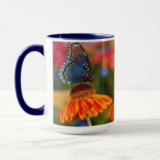 ウスバアゲハの一種 Papilio troilus マグカップ (左)