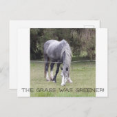 ウスンフェンス！はがき ポストカード (正面/裏面)