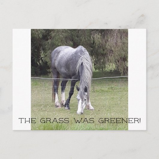 ウスンフェンス！はがき ポストカード (正面)