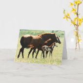 ウズアンドフォール写真 カード (黄色い花)