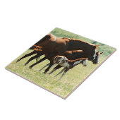 ウズアンドフォール写真 タイル (側面)