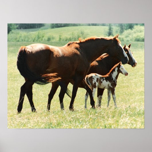 ウズアンドフォール写真 ポスター (正面)