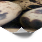 ウズイルエッグス,ウアラズ,コルディレラブランカ,アンキャッシュ ポスター (角)