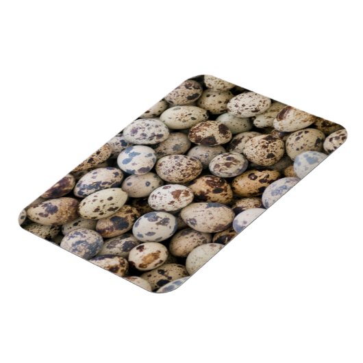 ウズイルエッグス,ウアラズ,コルディレラブランカ,アンキャッシュ マグネット (左側)