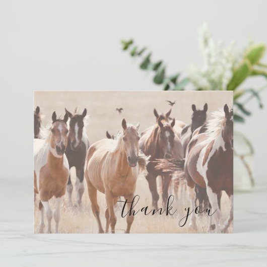 ウズインゴールデンフィールドカントリーフラットサンキューカード サンキューカード (スタンド正面)