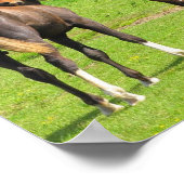 ウズインザメドウポスタープリント ポスター (角)