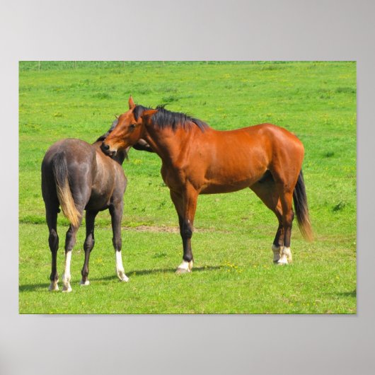 ウズインザメドウポスタープリント ポスター (正面)