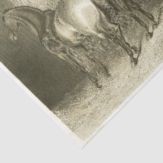 ウズエフエマデコペフランスのヴィンテージ 薄葉紙 (詳細)