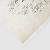 ウズエフエマデコペヴィンテージフランスのボーイ 薄葉紙 (詳細)