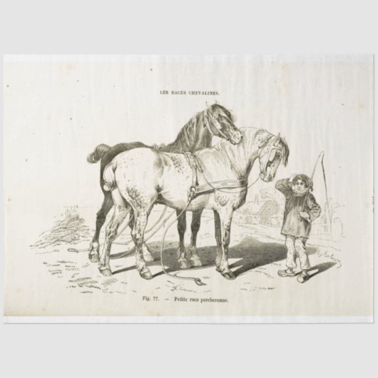 ウズエフエマデコペヴィンテージフランスのボーイ 薄葉紙 (正面)