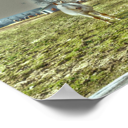 ウズカントリー素朴ウエスタンエクエストランファーム ポスター (角)