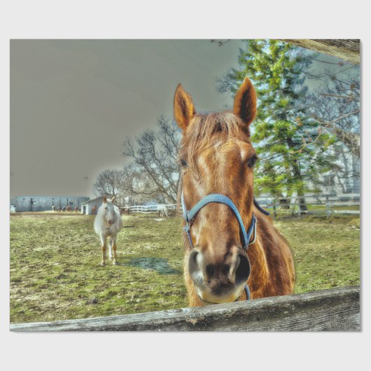 ウズカントリー素朴ウエスタンファームデコップページ ラッピングペーパー (フラット)