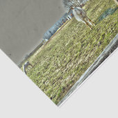 ウズカントリー素朴ウエスタンファームデコップページ 薄葉紙 (詳細)