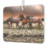 ウズサンセットとサーフ カーエアーフレッシュナー (左)