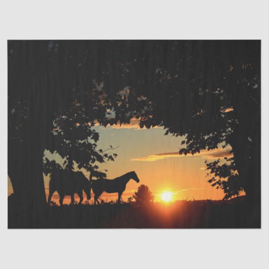 ウズサンセットデクページティッシュペーパー 薄葉紙 (正面)