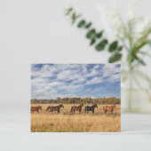 ウズジャストグランドテトン国立公園の外 ポストカード (スタンド正面)