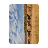 ウズジャストグランドテトン国立公園の外 マグネット (縦)