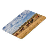 ウズジャストグランドテトン国立公園の外 マグネット (左側)