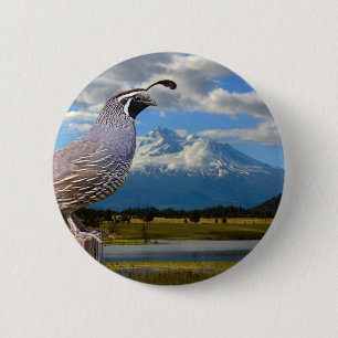 ウズラおよびMT SHASTA 缶バッジ
