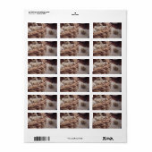 ウズラの卵を巣に ラベル (フルシート)