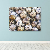 ウズラの卵 キャンバスプリント (インサイチュ (ウッドフロア))
