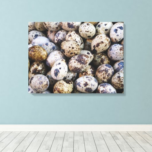 ウズラの卵 キャンバスプリント (インサイチュ (ウッドフロア))