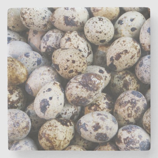 ウズラの卵 ストーンコースター (正面)