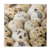 ウズラの卵 タイル (正面)