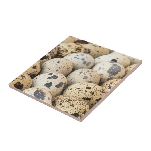 ウズラの卵 タイル (側面)