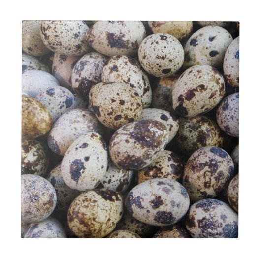 ウズラの卵 タイル (正面)