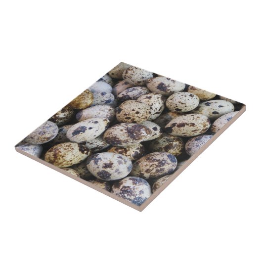 ウズラの卵 タイル (側面)