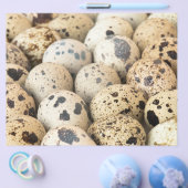 ウズラの卵 チラシ (シングル)