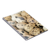 ウズラの卵 ノートブック (右側)