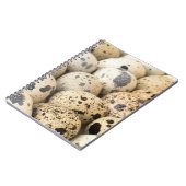 ウズラの卵 ノートブック (左側)