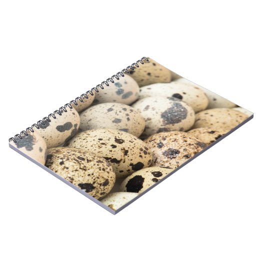 ウズラの卵 ノートブック (左側)