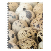 ウズラの卵 ノートブック (正面)