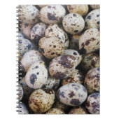 ウズラの卵 ノートブック (正面)