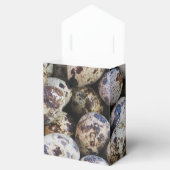 ウズラの卵 フェイバーボックス (オープン)