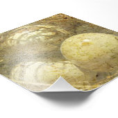 ウズラの卵 フォトプリント            (角)