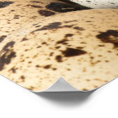 ウズラの卵 ポスター (角)