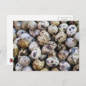 ウズラの卵 ポストカード (正面/裏面)