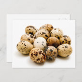 ウズラの卵 ポストカード (正面/裏面)